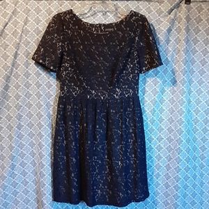 Navy Lace Dress